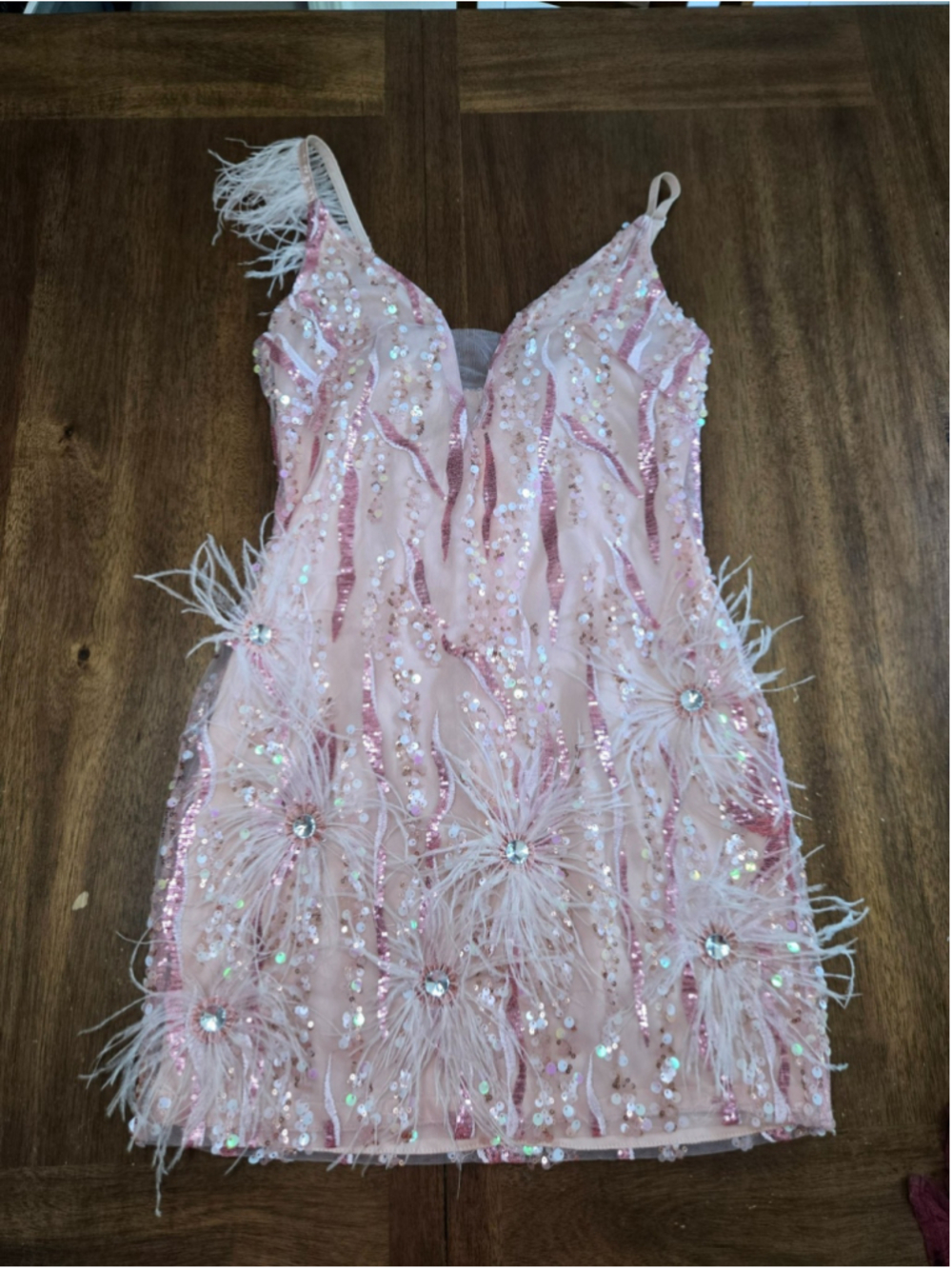 Embellished Pink Feather Mini Dress - Women